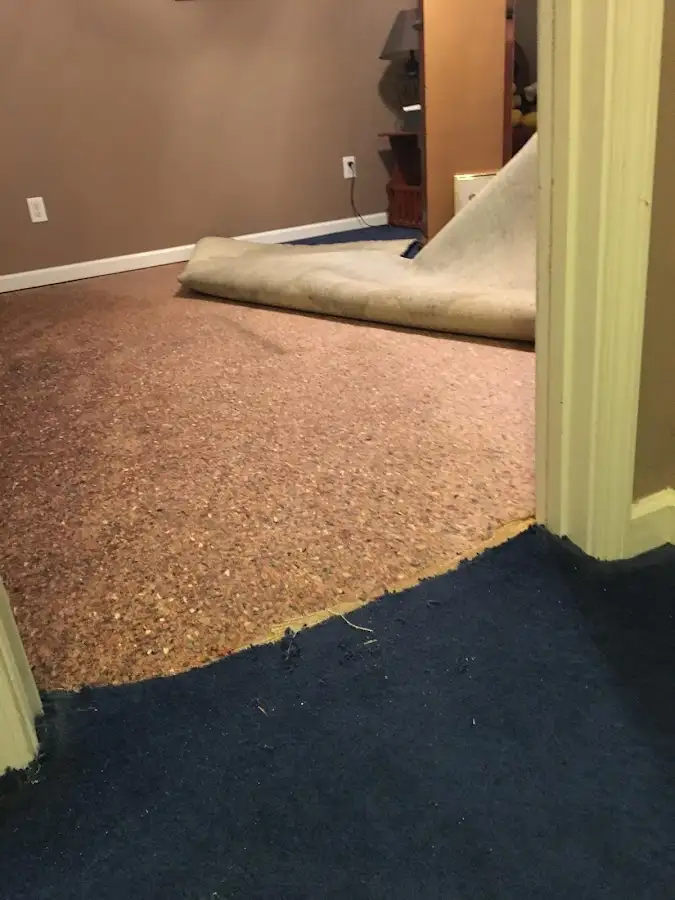 Carpet pad removal revealing water damage during Water Mitigation Services in Piqua