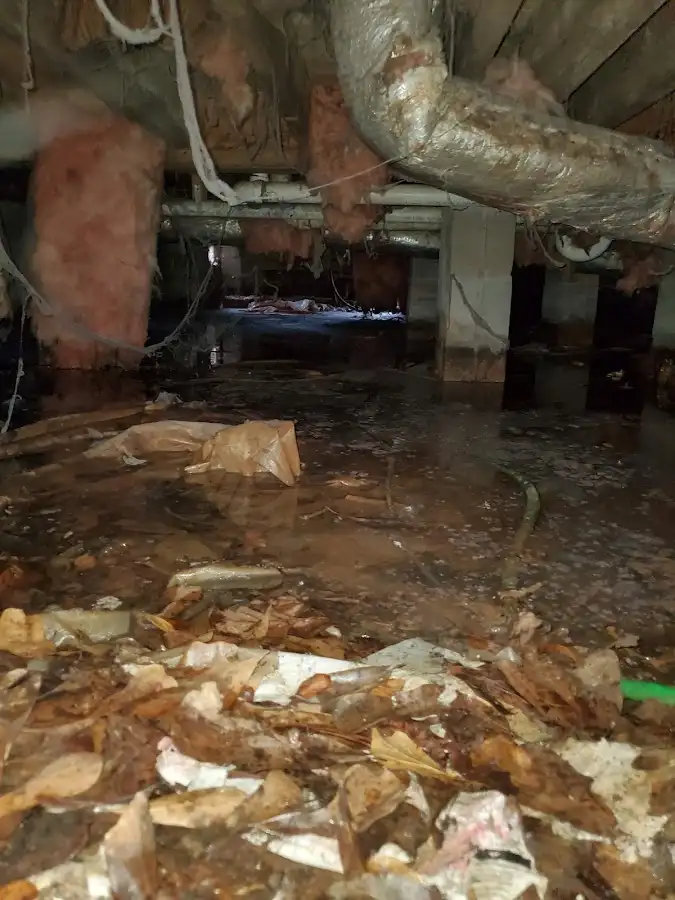Crawl space flood assessment for Leak Detection & Repair in Piqua